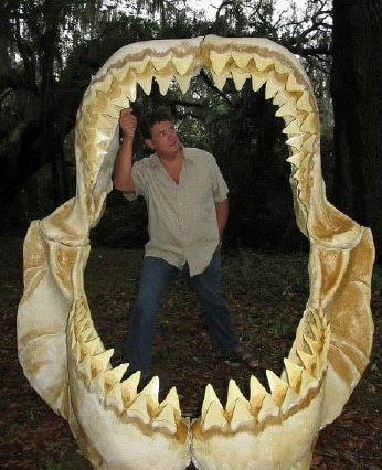 Bryan County News: Mastodon Tooth found near Savannah