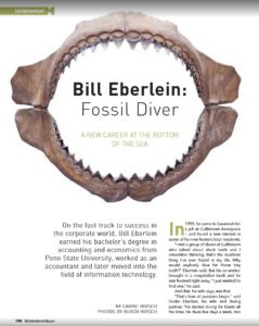 MEgaTeeth fossil diver