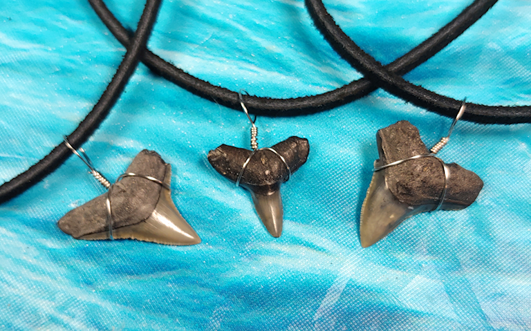 Megalodon Shark Tooth Pendant Leather Necklace Included.
