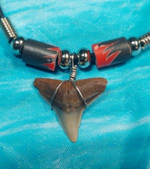 Shark Tooth Necklace with Red Beads