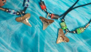 Three Shark Tooth Necklaces with Red, Blue or Green Beads